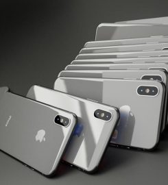Concept Wholesale